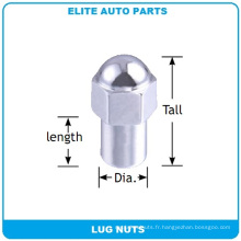 Daulie Mag Lug Noix pour voiture